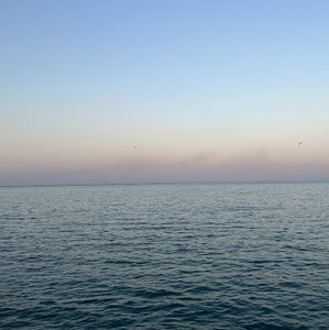 Meet your Posher, Catyyy